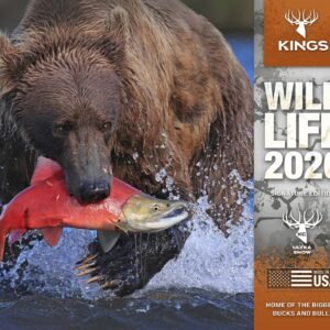 2026 kings calendars - Wildlife