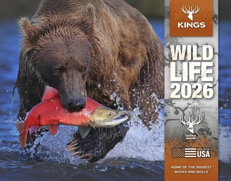 2026 kings calendars - Wildlife