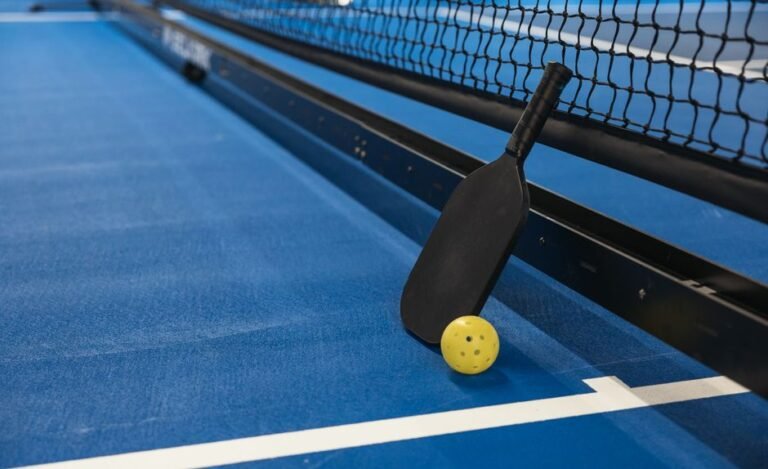 Pickleball Set Net with 4 Paddles Pickleballs