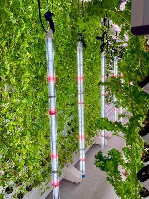 Indoor Garden Hydroponics Growing System: 10 Pods Kit with LED