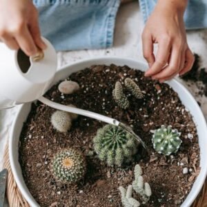 Self-watering plant spike and globe inserts