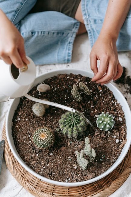 Self-watering plant spike and globe inserts