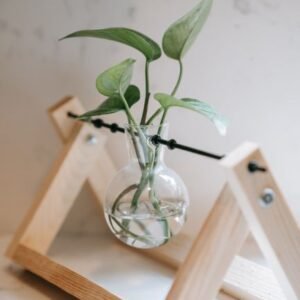 Mkono Plant Propagation Station Hanging Desktop Wooden Stand 3 Vases Holder