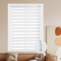 Light Control Zebra Blinds